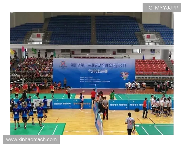 成都排球队技术对比深度解析与发展趋势展望