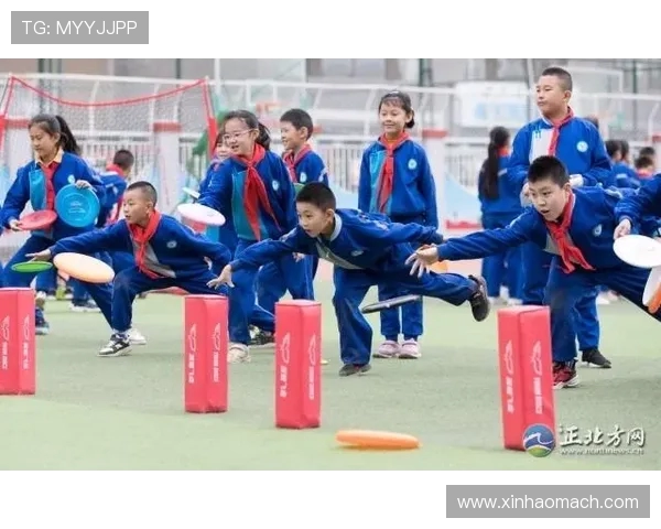 杨敏独家分享飞盘技巧与心得体会让你轻松掌握这项运动的魅力与乐趣