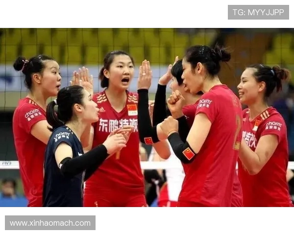 杭州排球队战术引发热议球迷与专家观点大碰撞