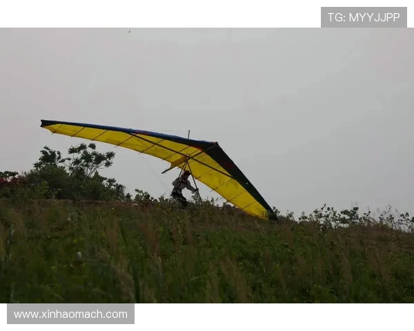 杭州极限运动队战术创新引发热议助力运动员突破极限挑战