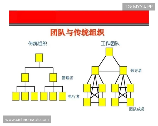 武汉羽毛球队战术解析：聚焦技术与团队协作的完美结合