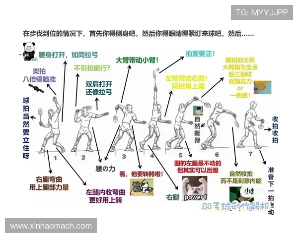 深入分析成都羽毛球队控制打法的战术特点与应用策略