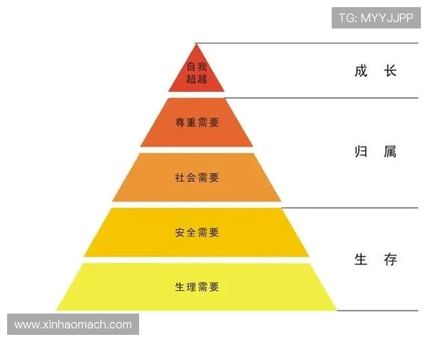 深圳足球队节奏对比分析揭示战术变化与球队表现的深层关系