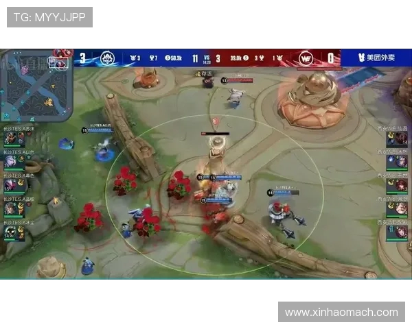 聚焦王者荣耀LNG战队的崛起与力量解析探讨