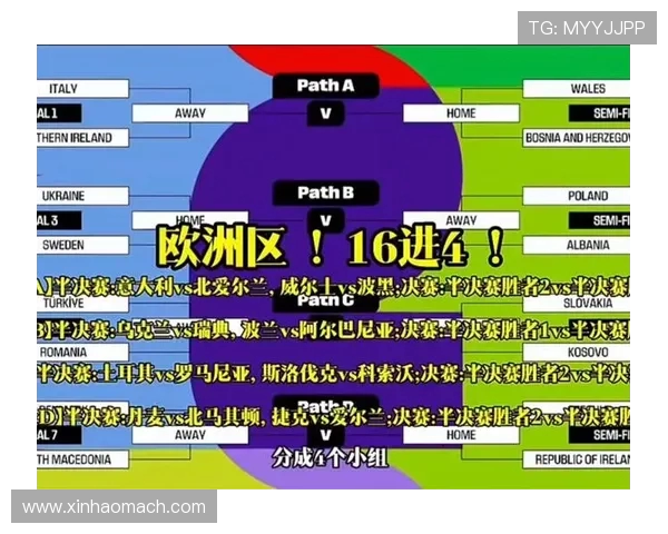 11月17日荷兰对阵法国的比赛预测与分析全面解读