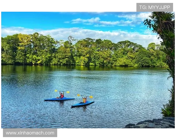 巴西与哥斯达黎加欧赔指数分析及比赛前景展望 巴西与哥斯达黎加欧赔指数分析及比赛前景展望