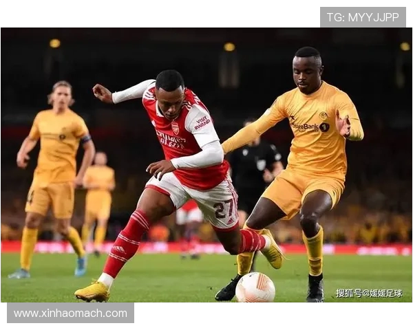 惠灵顿凤凰与西悉尼流浪者足球对决精彩回顾与赛季展望