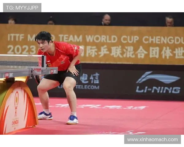 成都乒乓球队的训练节奏与比赛表现深度对比分析