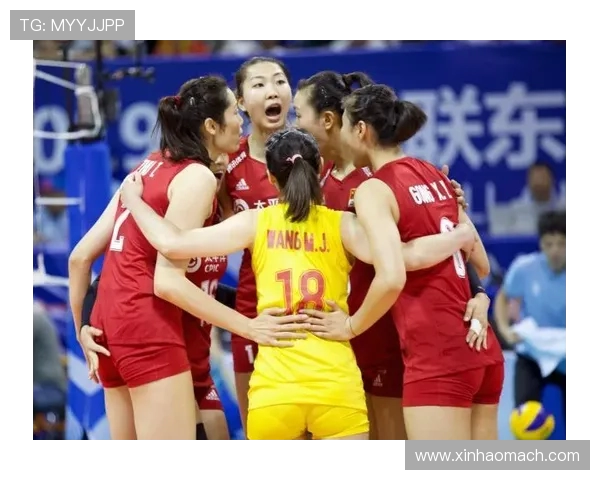 排球战术排行榜：上海排球队位居第8名