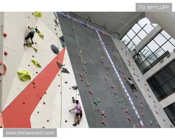 攀岩战术解析上海攀岩队如何构建高效反击体系