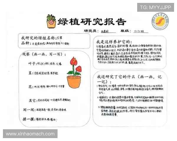 深圳羽毛球队心理素质提升之路探讨与实践分享